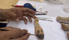 Egypt: Pohřebiště posvátných býků