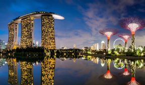 Singapur, sen či noční můra, Dokumentární klub