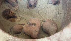 Egypt: Pohřebiště posvátných býků