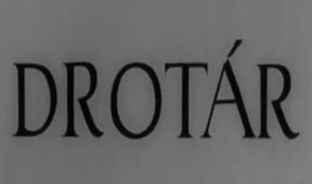 Drotár
