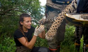 Projekt jaguár (3)
