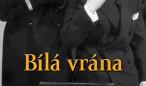 Bílá vrána