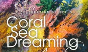 Coral Sea Dreaming