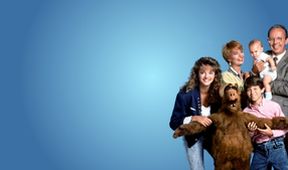 Alf IV (4/24)