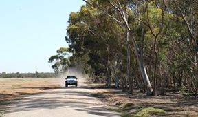 Wild Australia with Ray Mears (2)