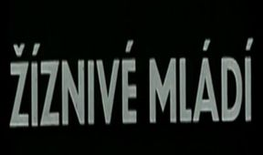 Žíznivé mládí