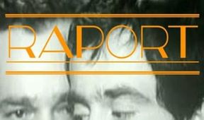 Raport