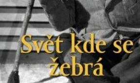 Svět, kde se žebrá