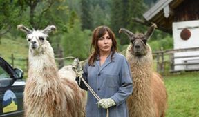 Rozmarné jaro: Zpovědní tajemství