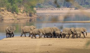 Velkolepá Afrika (2)