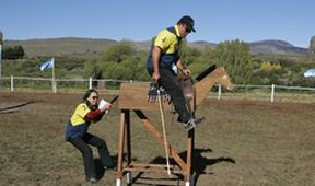 The Amazing Race XXXV (6)