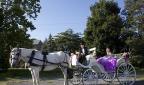 Má okázalá americká cikánská svatba VI (6)