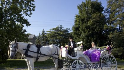 Má okázalá americká cikánská svatba VI (6)