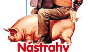 Nástrahy velkoměsta