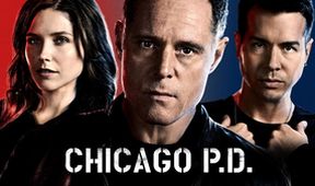 Policie Chicago IX (2)