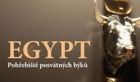 Egypt: Pohřebiště posvátných býků