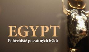 Egypt: Pohřebiště posvátných býků