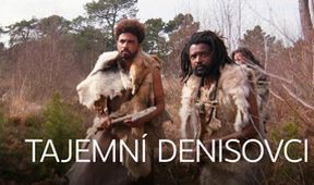 Tajemní denisovci
