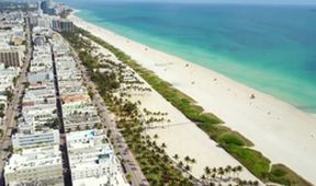 Miami, město rebelů, Dokumentární klub
