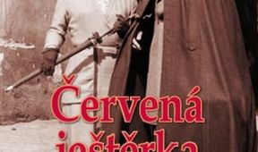 Červená ještěrka