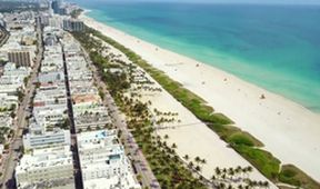 Miami, město rebelů, Dokumentární klub