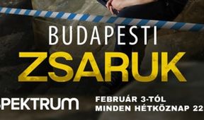 Policajti v Budapešti (3)