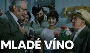 Mladé víno