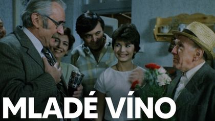 Mladé víno