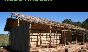 Paraguay's New Houses