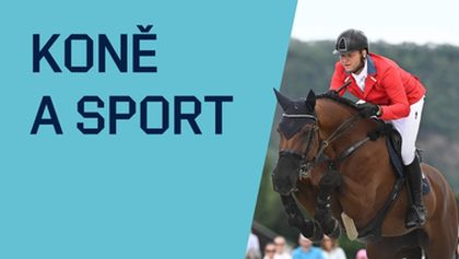 Koně a sport, Jezdectví