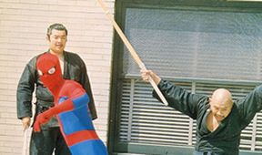The Amazing Spider-Man