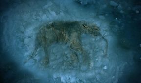 Prokleté poklady (8)