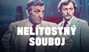 Nelítostný souboj