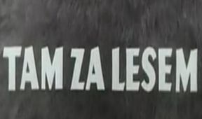 Tam za lesem