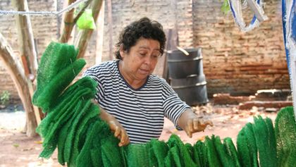 Paraguay's New Houses