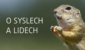 O syslech a lidech