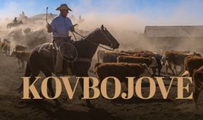 Kovbojové, Dokumentární klub