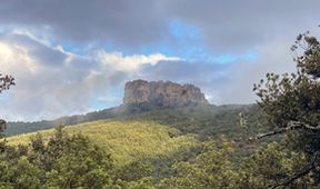 Evropská divočina (4)