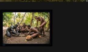 Útěk na Vanuatu