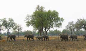 Velkolepá Afrika (2)