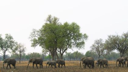 Velkolepá Afrika (2)