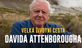 Velká životní cesta Davida Attenborougha