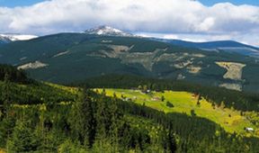 Pralesy Slovenska