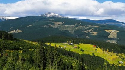 Pralesy Slovenska