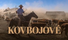Kovbojové, Dokumentární klub