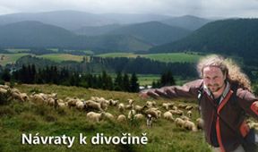 Návraty k divočině