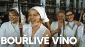 Bouřlivé víno
