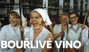 Bouřlivé víno