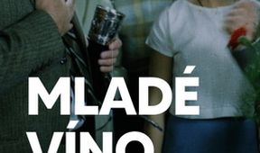 Mladé víno
