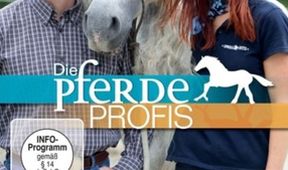 Die Pferdeprofis